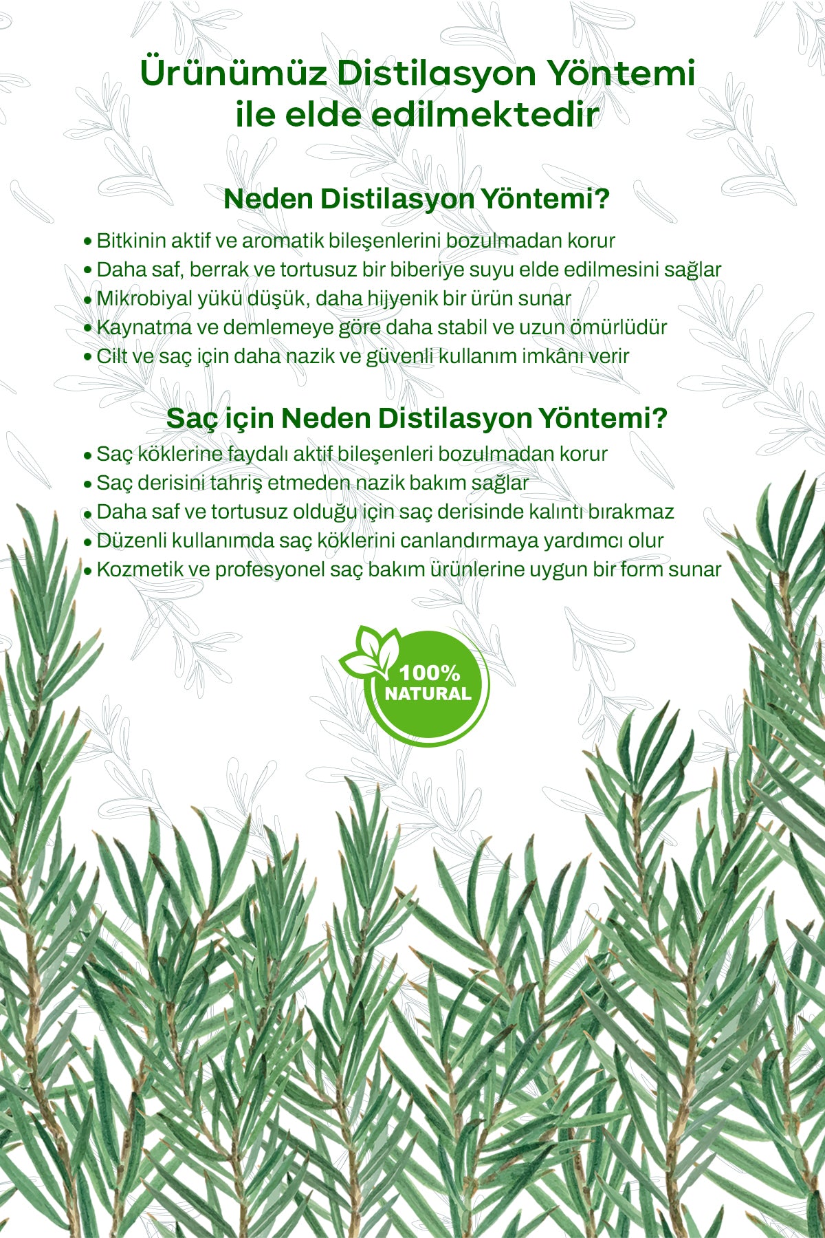 Biberiye Suyu detay